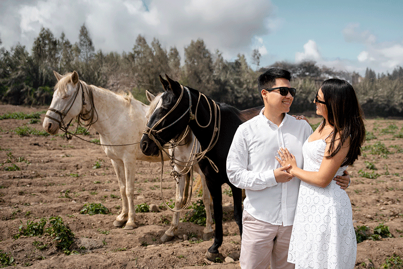 gallery-4-scaled-caballo